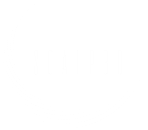 Scalp 3D